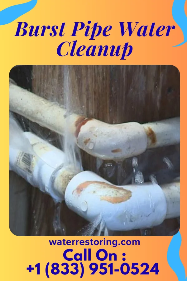 Burst Pipe Water Cleanup in Lambertville, NJ