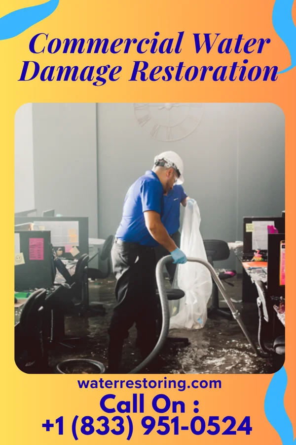 Commercial Water Damage Restoration in Lambertville, NJ