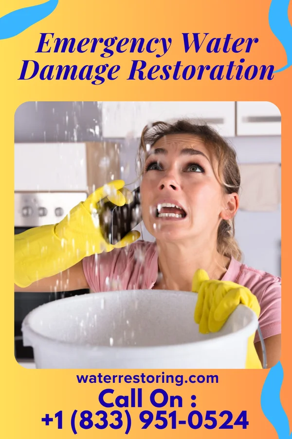 Emergency Water Damage Restoration in Lambertville, NJ
