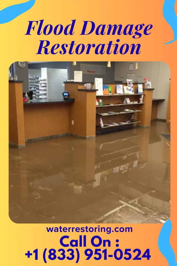 Flood Damage Restoration in Lambertville, NJ