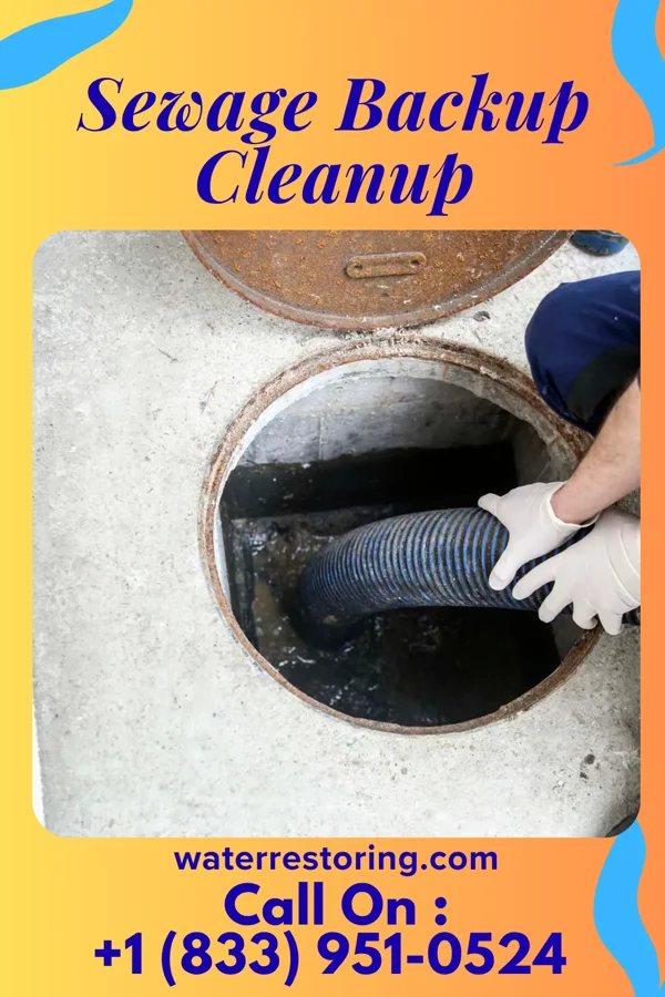 Sewage Backup Cleanup in Lambertville, NJ