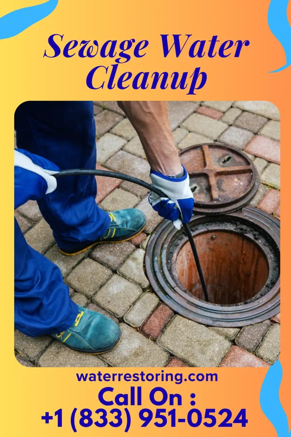 Sewage Water Cleanup in Lambertville, NJ