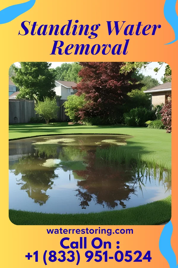 Standing Water Removal in Lambertville, NJ